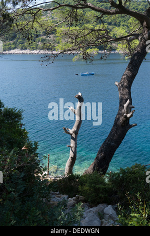 Bateau de pêcheur solitaire dans une baie sur l'île de Mljet, Croatie Banque D'Images