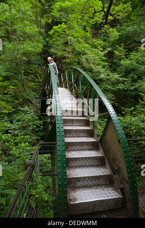 L'une des passerelles sur la Gorge de Rheidol sur le sentier nature sur l'échelle de Jacob sentier ci-dessous Pont du Diable près de Aberystwyth, Ceredigion West Wales UK Banque D'Images