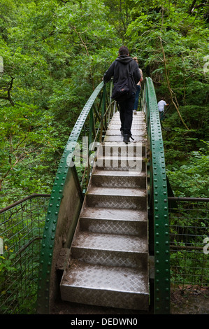 L'une des passerelles sur la Gorge de Rheidol sur le sentier nature sur l'échelle de Jacob sentier ci-dessous Pont du Diable près de Aberystwyth, Ceredigion West Wales UK Banque D'Images