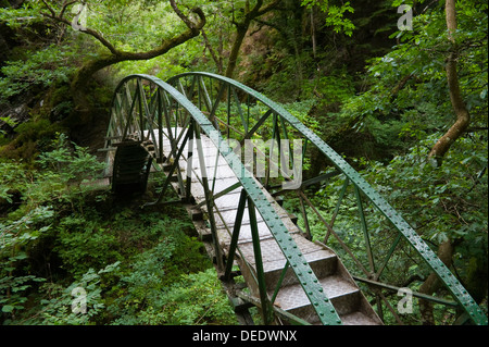 L'une des passerelles sur la Gorge de Rheidol sur le sentier nature sur l'échelle de Jacob sentier ci-dessous Pont du Diable près de Aberystwyth, Ceredigion West Wales UK Banque D'Images