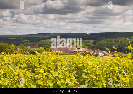 Vignes de Champagne au-dessus du village de Landreville dans la Côte des Bar salon de l'Aube, Champagne-Ardenne, France, Europe Banque D'Images