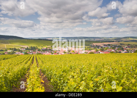 Vignes de Champagne au-dessus du village de cravant dans la Côte des Bar salon de l'Aube, Champagne-Ardenne, France, Europe Banque D'Images