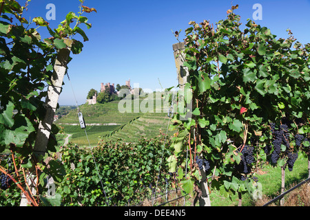 Château d'Ortenberg, près d'Offenburg, Forêt Noire, Baden Wurtemberg, Allemagne, Europe Banque D'Images