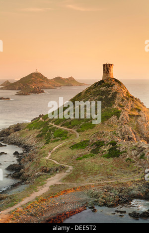 Tour de la Parata et les îles Sanguinaires, de Corse, France, Europe, Méditerranée Banque D'Images