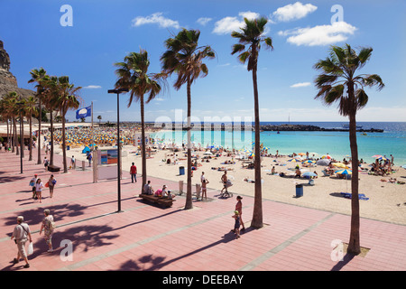 Playa de los Amadores, Gran Canaria, Îles Canaries, Espagne, Europe, Atlantique Banque D'Images