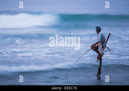 Pêche à échasses, un pêcheur sur pilotis dans les vagues à Midigama près de Weligama, Côte Sud, Sri Lanka, de l'Océan Indien, l'Asie Banque D'Images