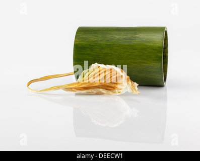 Feuille d'Hosta sec et bambou vert sur fond blanc Banque D'Images