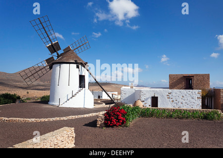 Mill Museum (Centro de Interpretacion de los Molinos), Tiscamanita, Fuerteventura, Îles Canaries, Espagne, Europe, Atlantique Banque D'Images