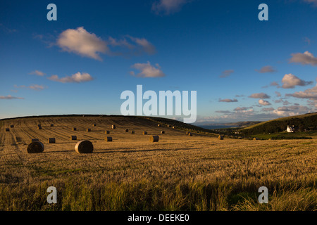 Coucher du soleil lumière et de longues ombres sur un champ de paille big bales au milieu du Pays de Galles. Banque D'Images