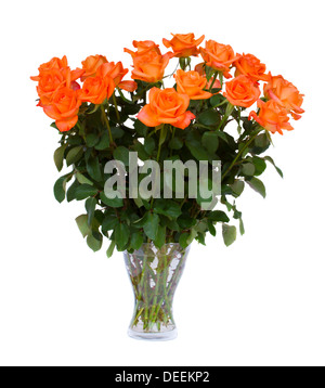 Roses orange Banque D'Images