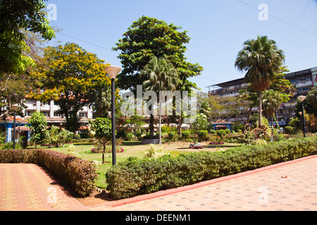 Les arbres dans un jardin, Garcia de Orta, Panaji, Goa, Inde Banque D'Images