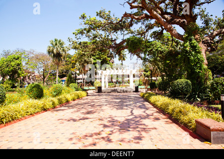 Sentier dans un jardin, Garcia de Orta, Panaji, Goa, Inde Banque D'Images