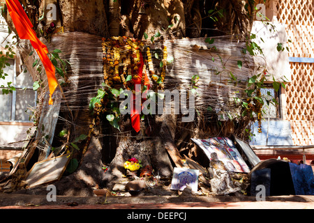 Offrandes religieuses sous un arbre, Mahalaxmi Temple, Panaji, Goa, Inde Banque D'Images