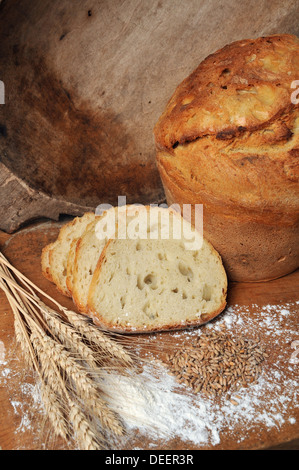 Pain frais soutenues still life concept Banque D'Images