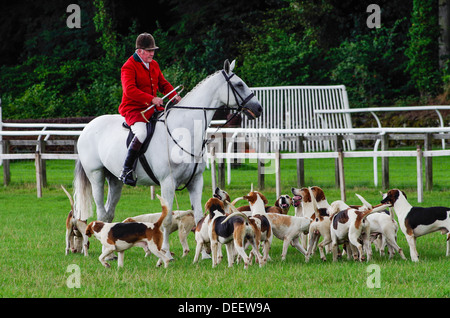 Chasseur et chiens Banque D'Images