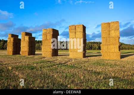 Square des bottes de paille empilées dans un champ de chaume doré à côté d'une autre à la fin de l'été sous un ciel du soir Banque D'Images