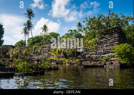 Ville en ruines de Nan Madol, Pohnpei (Ponape), États fédérés de Micronésie, Îles Carolines, Centre du Pacifique, Pacifique Banque D'Images