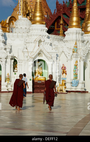 Monks, Paya Shwedagon, Yangon (Rangoon), le Myanmar (Birmanie), l'Asie Banque D'Images