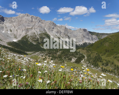 Obere Wolayer Alm alpage avec le Biegengebirge les montagnes, les Alpes Carniques, Lesachtal, Carinthie, Autriche Banque D'Images