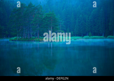 Forêt de conifères sur le lac Möserer Voir dans la brume, près de Mösern, Tyrol, Autriche Banque D'Images