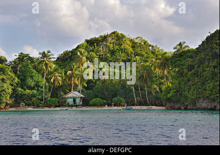 Le cocotier (Cocos nucifera), cabane sur une plage, Raja Ampat, Papouasie occidentale, en Indonésie Banque D'Images