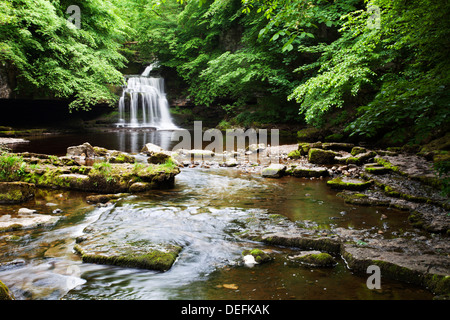 Cascade de West Burton en été, Wensleydale, Yorkshire Dales, Yorkshire, Angleterre, Royaume-Uni, Europe Banque D'Images