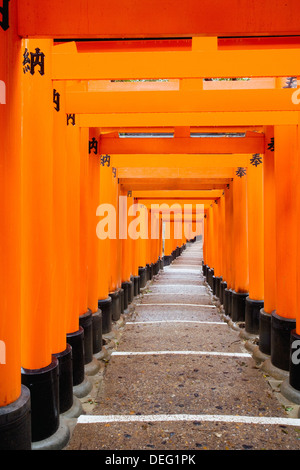 Portes Torii rouge, Fushimi Inari Taisha, Kyoto, région du Kansai, Honshu, Japon, Asie Banque D'Images