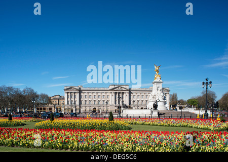 Tulipes rouges et jaunes de plus en plus devant le palais de Buckingham en avril. Londres, Angleterre, Royaume-Uni, Europe Banque D'Images