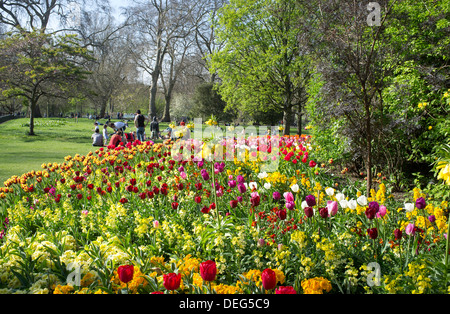 Les personnes bénéficiant d'une journée de printemps dans le parc de St James entouré de tulipes aux couleurs vives, Londres, Angleterre, Royaume-Uni, Europe Banque D'Images