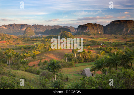 Vallée de Vinales, UNESCO World Heritage Site, baigné de la lumière du soleil tôt le matin, Vinales, province de Pinar del Rio, Cuba, Antilles Banque D'Images