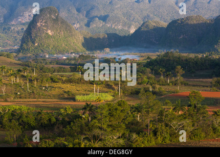 Vallée de Vinales, UNESCO World Heritage Site, baigné de la lumière du soleil tôt le matin, Vinales, province de Pinar del Rio, Cuba, Antilles Banque D'Images