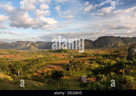 Vallée de Vinales, UNESCO World Heritage Site, baigné de la lumière du soleil tôt le matin, Vinales, province de Pinar del Rio, Cuba, Antilles Banque D'Images