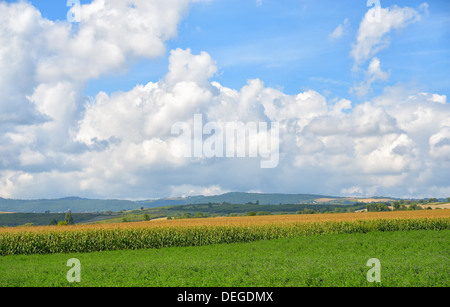 Paysage rural de la région de l'Auvergne dans le Massif Central de la France dans un jour d'automne avec de beaux nuages Banque D'Images