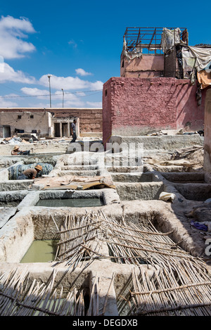 Tannerie dans Marrakech, Maroc Banque D'Images