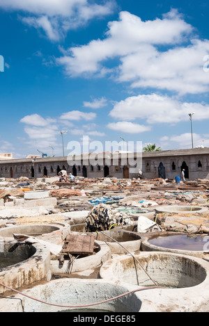 Tannerie dans Marrakech, Maroc Banque D'Images