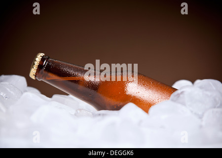 Une bouteille de bière enseveli dans la glace. Banque D'Images