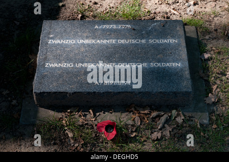 Pierre tombale avec coquelicot au cimetière militaire allemand de Langemarck Première Guerre mondiale, Ypres, Belgique Banque D'Images