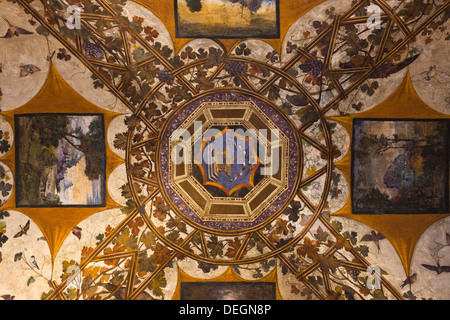 Détails de plafond d'un musée, le Palazzo Chigi-Saracini, Sienne, Toscane, Italie Banque D'Images