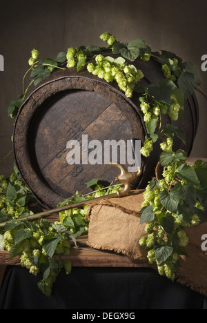 La vie toujours avec le houblon et le baril de bière Banque D'Images