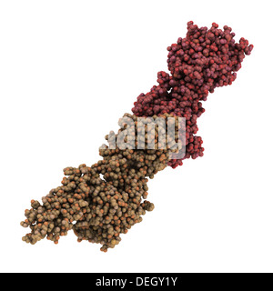 D-dimère, produit de dégradation de la fibrine. Lorsqu'elle se trouve dans le sang, de D-diméres indiquent la présence de caillots de sang (thrombose) Banque D'Images