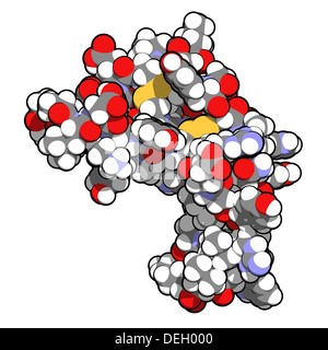 Le facteur de croissance épidermique humain (hEGF). Facteur de croissance qui se lie au récepteur EGF et stimule la croissance cellulaire et la prolifération. Banque D'Images
