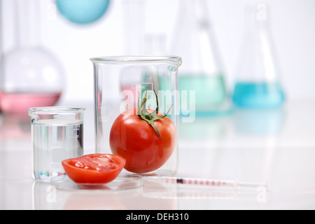 La tomate dans le récipient de laboratoire Banque D'Images