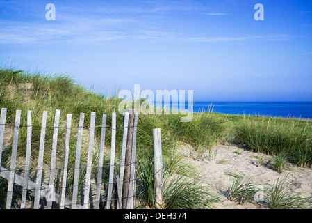L'herbe des dunes luxuriantes menant à l'océan à Cape Cod National Seashore, Race Point Beach, Cape Cod, Massachusetts, USA Banque D'Images