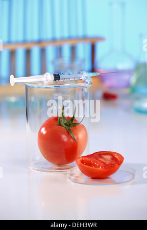 La tomate dans le récipient de laboratoire Banque D'Images