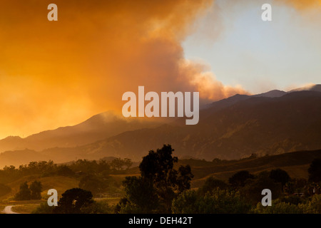 Panache de fumée d'un incendie de forêt sur les collines dans le sud de la Californie USA tourne le soleil de l'après-midi d'une couleur orange. JMH5578 Banque D'Images