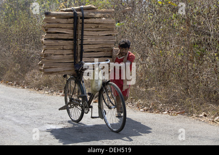 Homme transporter le bois sur cycle, Orissa, Inde Banque D'Images