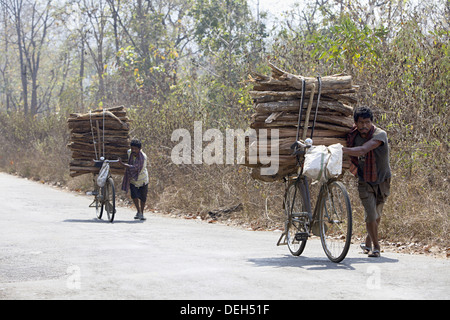 Les hommes transporter le bois sur cycle, Orissa, Inde Banque D'Images