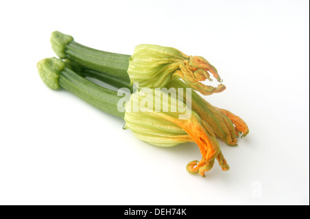 Trois courgettes avec des fleurs attachées sur un fond blanc. Banque D'Images
