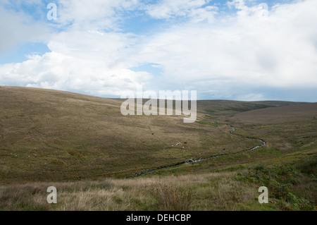 Au sud le long de la partie supérieure de la rivière Avon à l'ouest de Huntingdon Warren. Annexe visible sur la colline. Banque D'Images