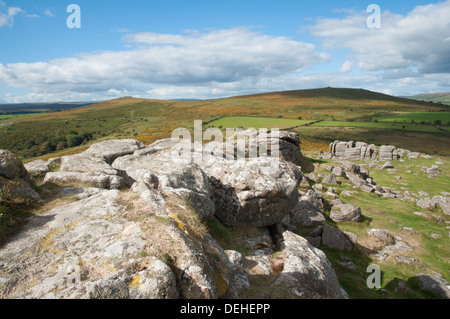 Vue nord sur l'ajonc couverts à flanc de Dartmoor en baisse par Corndon Sharp Tor. Les affleurements de granit de Tor en premier plan. Banque D'Images